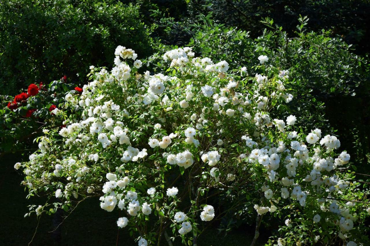 L'Intemporelle B&B Le Buisson-de-Cadouin Kültér fotó