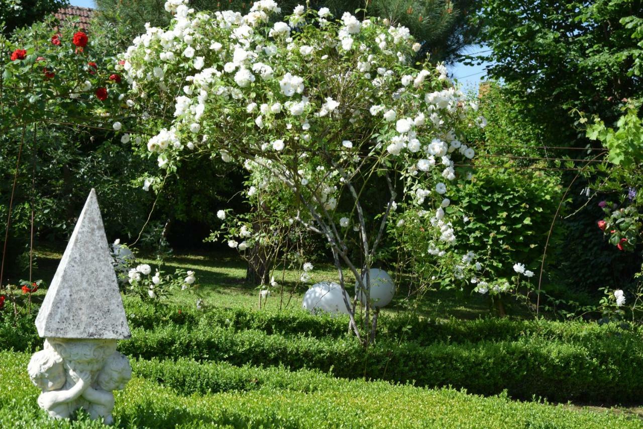 L'Intemporelle B&B Le Buisson-de-Cadouin Kültér fotó